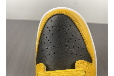 Nike Dunk Low Goldenrod (2021) DD1391-004 - Image 14