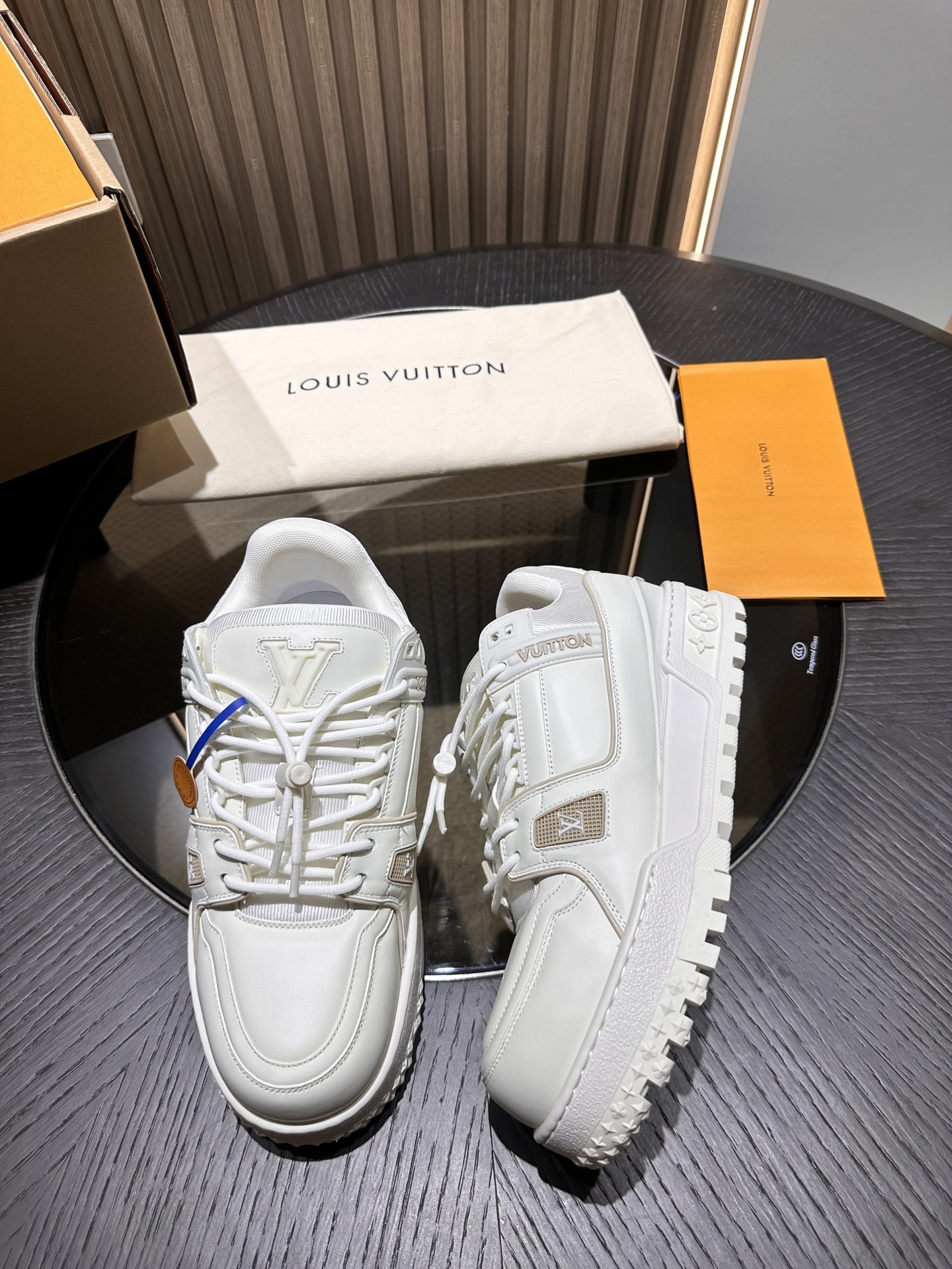 L** V* Trainer - Image 3